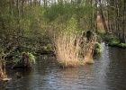 Picture 037
